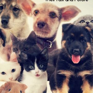 Animals: Their Past and Future